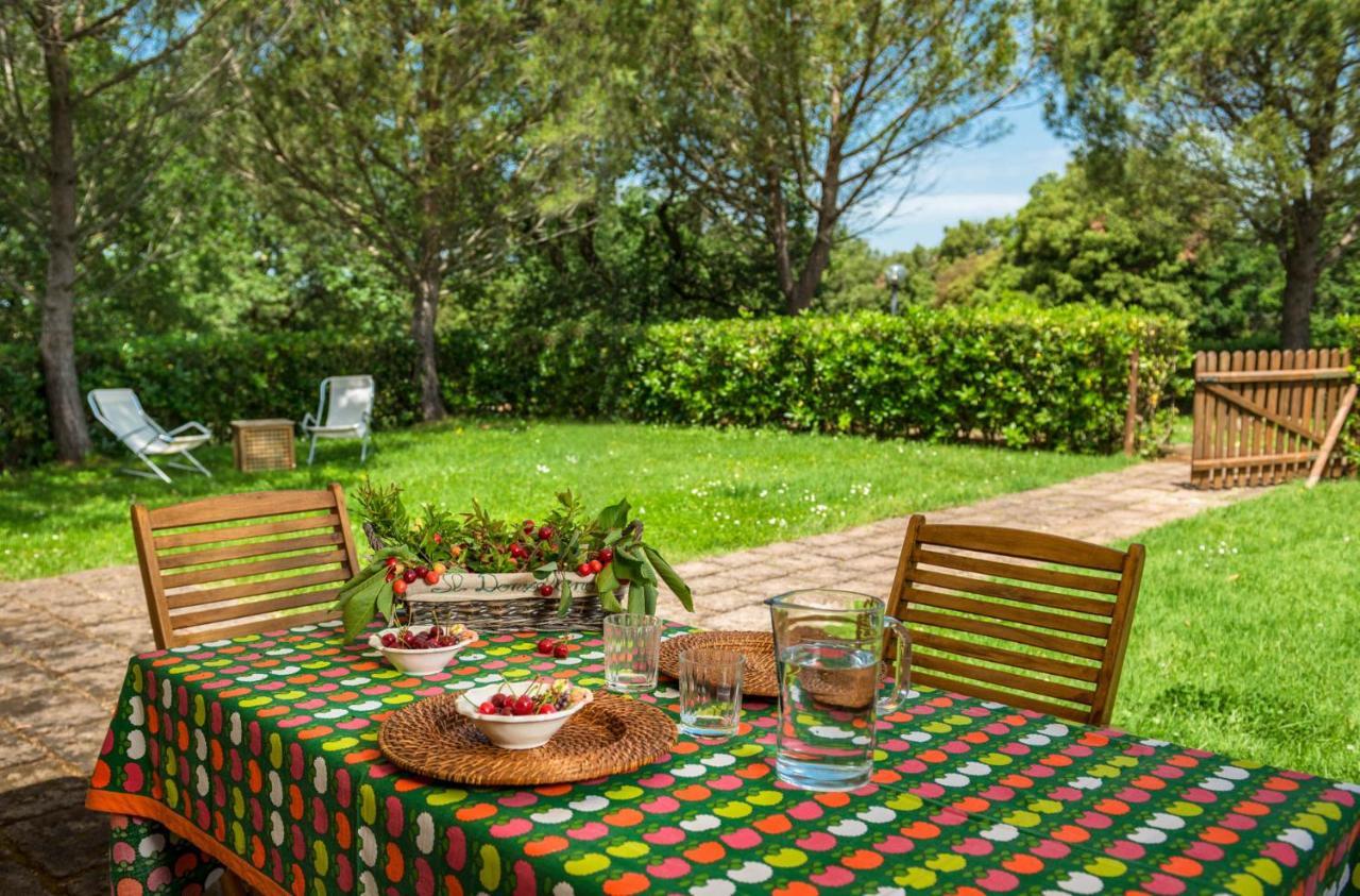 Donzellino Villa Massa Marittima Eksteriør billede